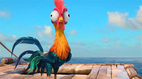 Heihei Moana Disney Movie Chicken Wallpaper - Heihei In Moana ...