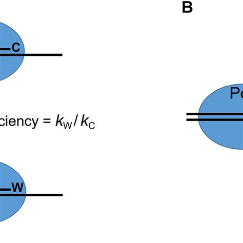 Structure of a mature RNA-DNA primer synthesized by primase-Pol ...