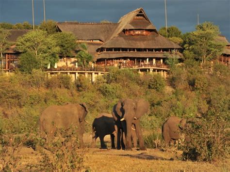 Victoria Falls Safari Lodge - African elegance in Victoria Falls