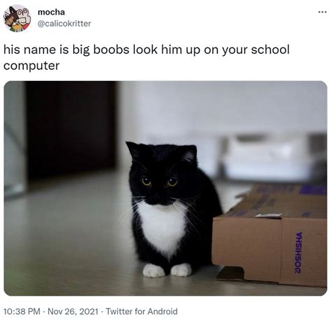 his name is big boobs look him up on your school computer | Maxwell the ...