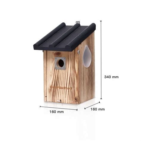 Birdhouse with WiFi Camera - Green Backyard