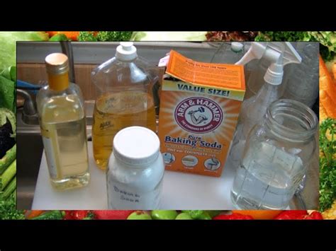 Homemade Organic Fungicide For Plants | Fasci Garden