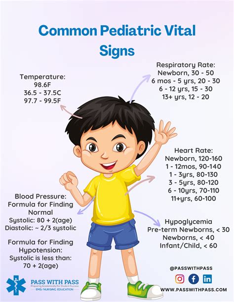 Pediatric Vital Signs Reference Chart - Etsy