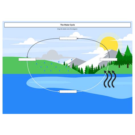 Water cycle diagram | Lucidchart