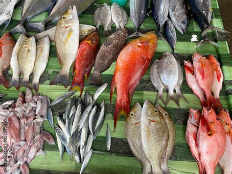 Various types of fresh fish in the traditional market Stock Photo ...