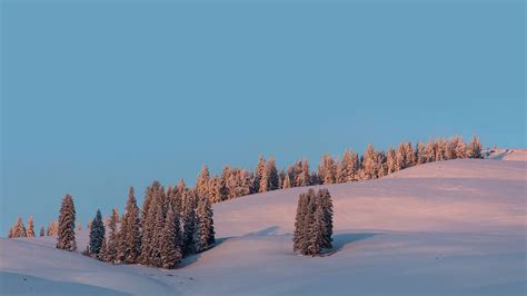 Snow mountain HD wallpaper, winter | Premium Photo - rawpixel