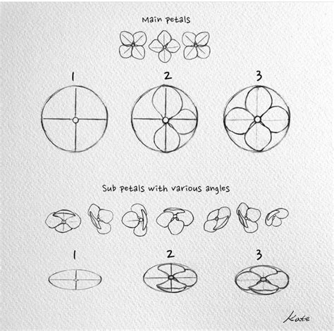 Pin by Ruth O'Hara on How to Draw / Paint | Flower drawing, Flower ...