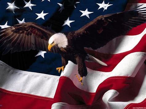 USA Flag Eagle Wallpapers - Top Free USA Flag Eagle Backgrounds ...