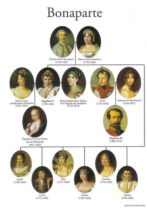 Arbol genealógico de la familia Bonaparte French History, European ...