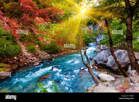 beauty nature scenery landscape background. Nature composition ...