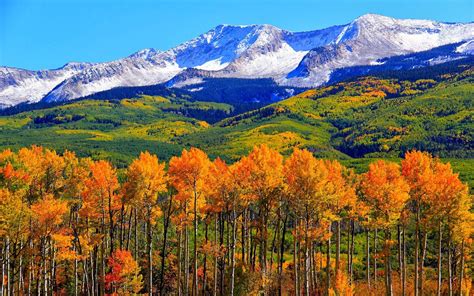 Autumn Colorado Fall Snowy Mountains Nature Landscape Hd Wallpaper ...