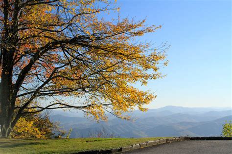 Wings & Wildflowers: Fall Foliage in Asheville, NC