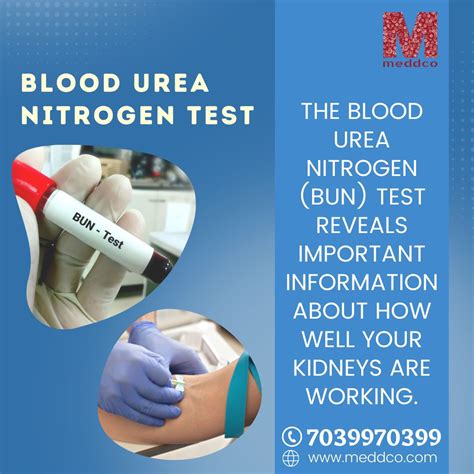 Blood Urea Nitrogen Test