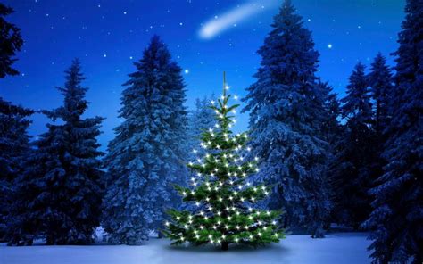 Beautiful Christmas Tree In Snow Wallpapers - Wallpaper Cave