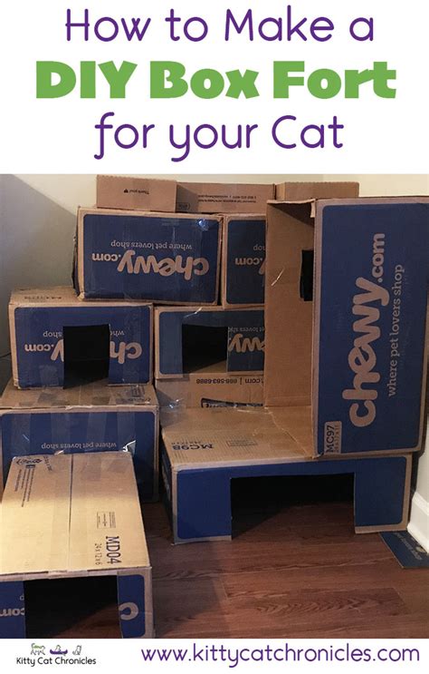 How to Make a Cardboard Box Fort for Your Cat - Kitty Cat Chronicles