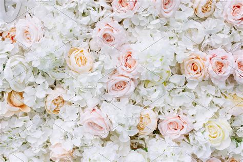 Flowers wall background white roses | High-Quality Nature Stock Photos ...