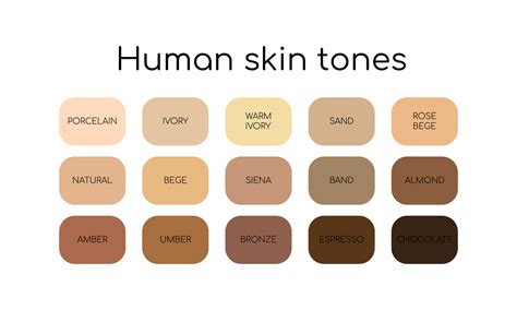 Human Skin Color Types