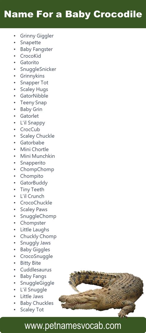 Best Crocodile Names for Your Pet - Pet Names Vocab