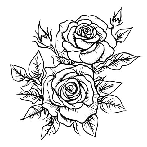 Rose Drawing Outline Google Search Flowers Pinterest Rose | The Best ...