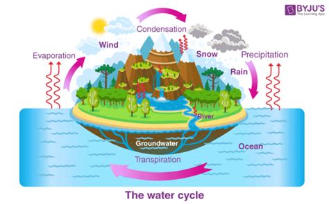 Condensation Definition - What is Condensation, Meaning, Process, Types ...