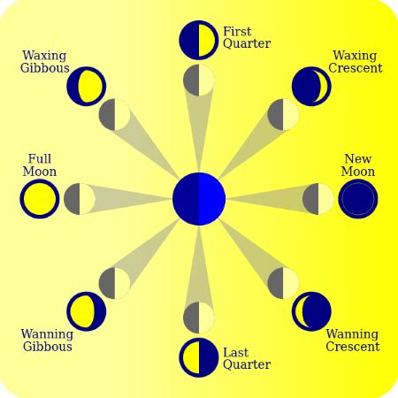 Moon Phase Cycle | Names, Order & Appearance - Video & Lesson ...