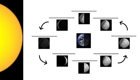 Moon: Phases, Eclipses, Tides Diagram | Quizlet