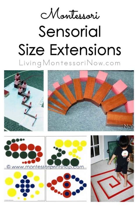 Montessori Sensorial Activities