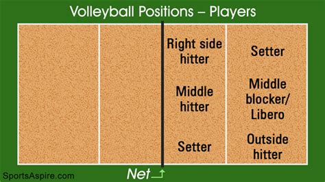 Volleyball Positions on the Court Every Player Should Know