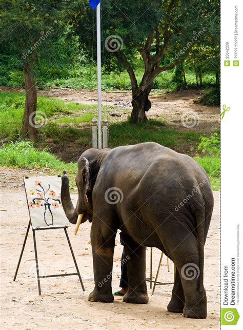 Elephant painting show stock image. Image of animal, tropical - 25042309