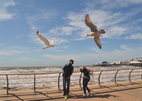 Best beaches in England - Lonely Planet