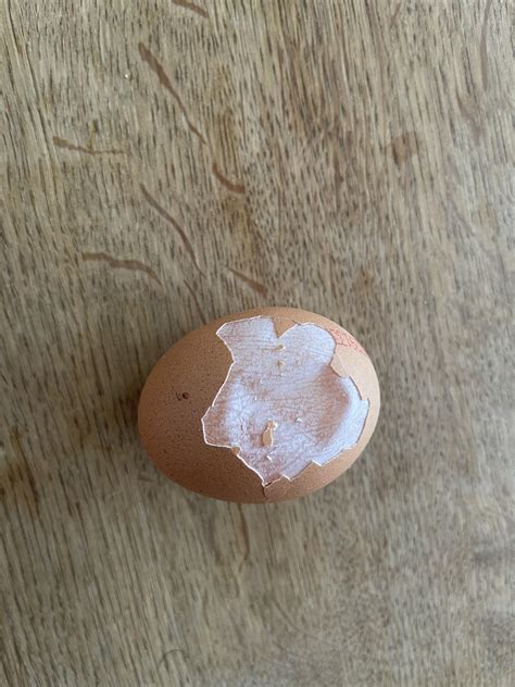 An intact egg membrane : r/mildlyinteresting