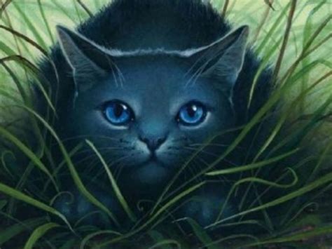 Bluestar - Warrior Cats of PantherClan! Photo (28228378) - Fanpop