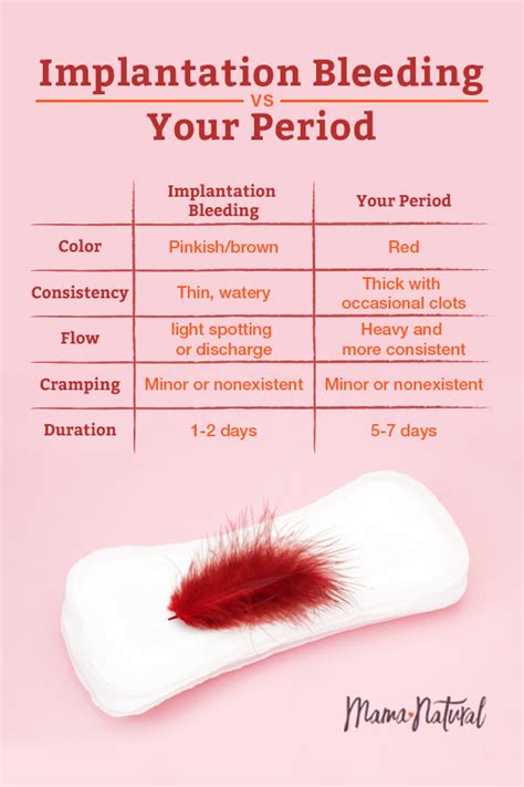 What Is Implantation Bleeding Photograph By Finda Topdoc | Images and ...