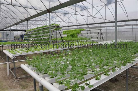 Greenhouse Eco-Friendly Hydroponics New Design Commercial Hydroponics ...