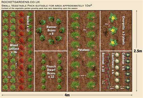 19 Vegetable Garden Plans & Layout Ideas That Will Inspire You