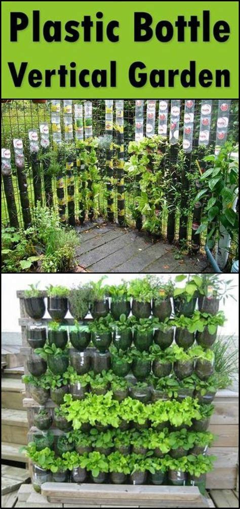 Vertical Garden Ideas For Home