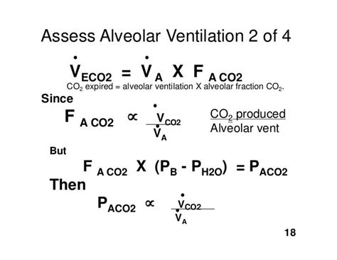 11.17.08(b): Alveolar Ventilation II