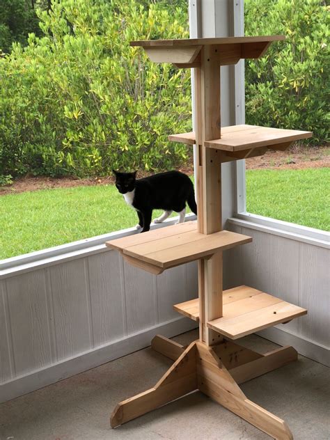 Purrfect Picks: Top 10 Best Cat Trees for Outdoors (with Reviews ...