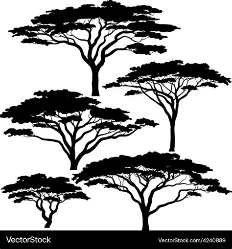 Acacia tree silhouettes Royalty Free Vector Image