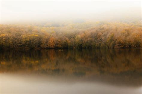 Fog over Lake and Autumn Forest · Free Stock Photo