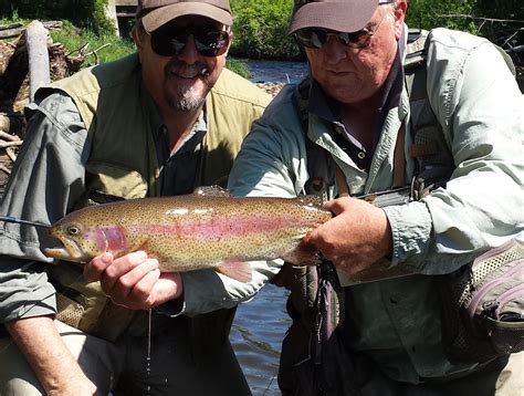 Vermont Fly Fishing: Vermont Trout Fishing