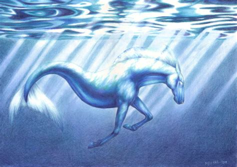 Image - Ocean horse by in the distance (hippocampus hippocampos ...