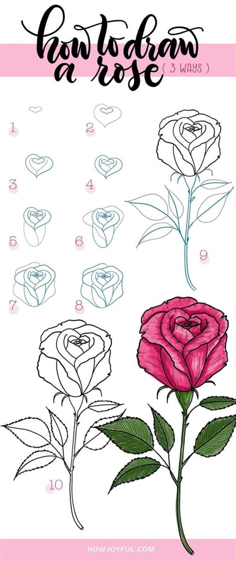 How To Sketch Rose Flower | Best Flower Site