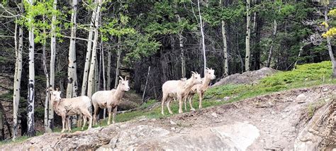 What To Pack For Hiking In Banff National Park