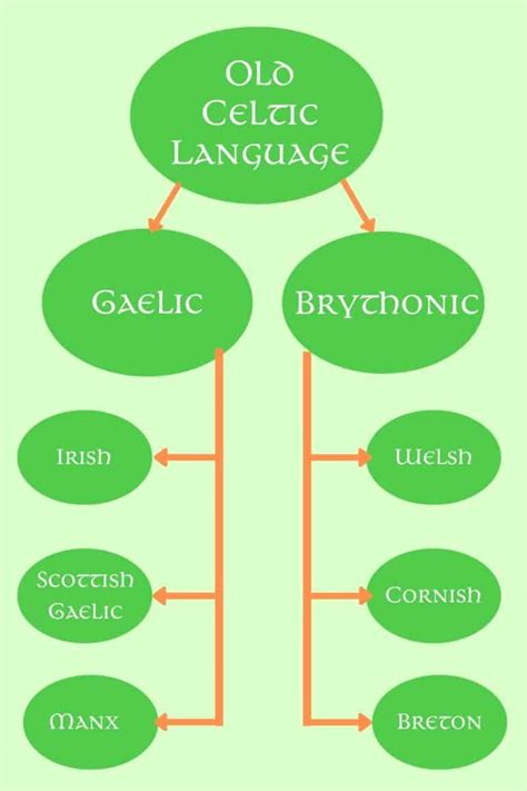 The Celtic Languages