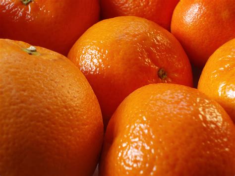 orange fruit-2447 | Stockarch Free Stock Photos