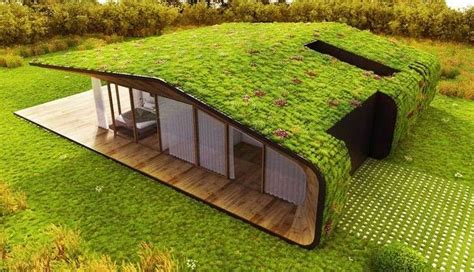 Why You Need A Green Roof on Your Container Home - Sulex International