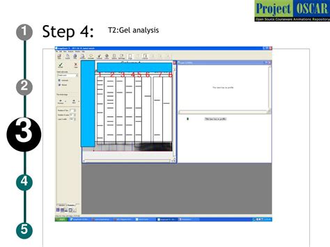 PPT - SDS-PAGE gel analysis PowerPoint Presentation, free download - ID ...