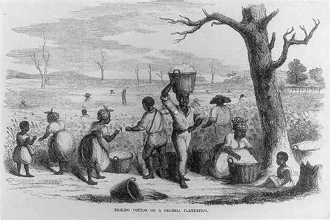 Southern Cotton Plantations 1800s