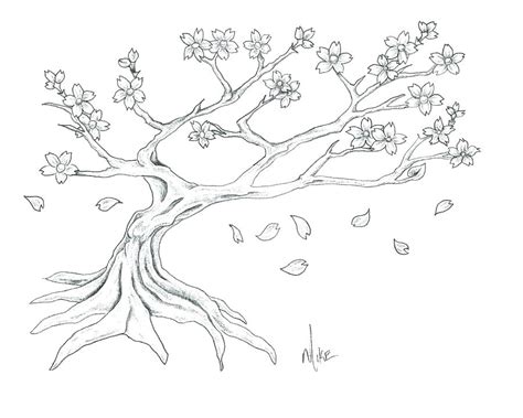 Sakura Tree Drawing at PaintingValley.com | Explore collection of ...